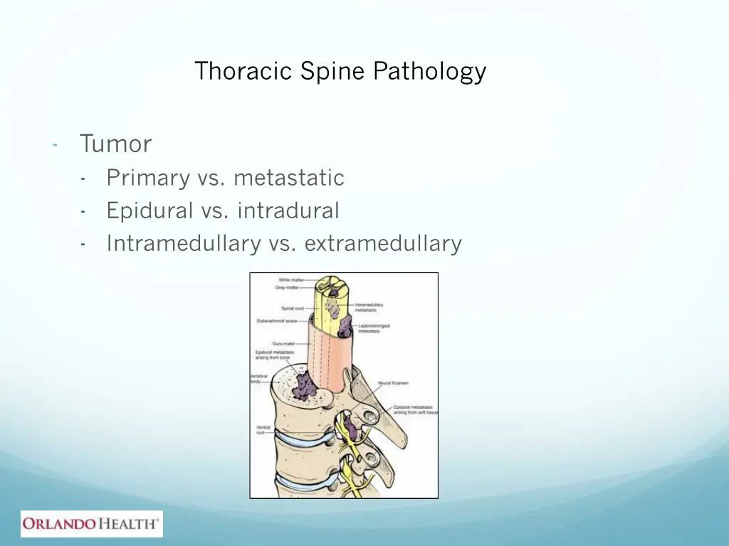 thoracic spine pathology 4