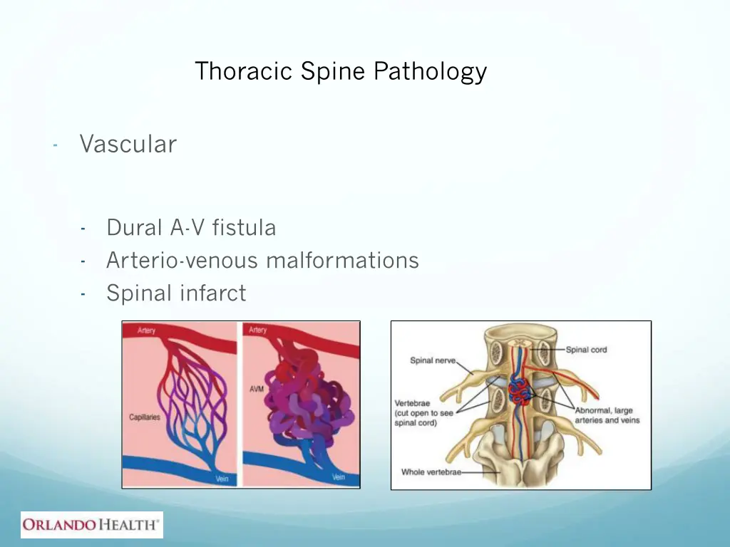 thoracic spine pathology 6