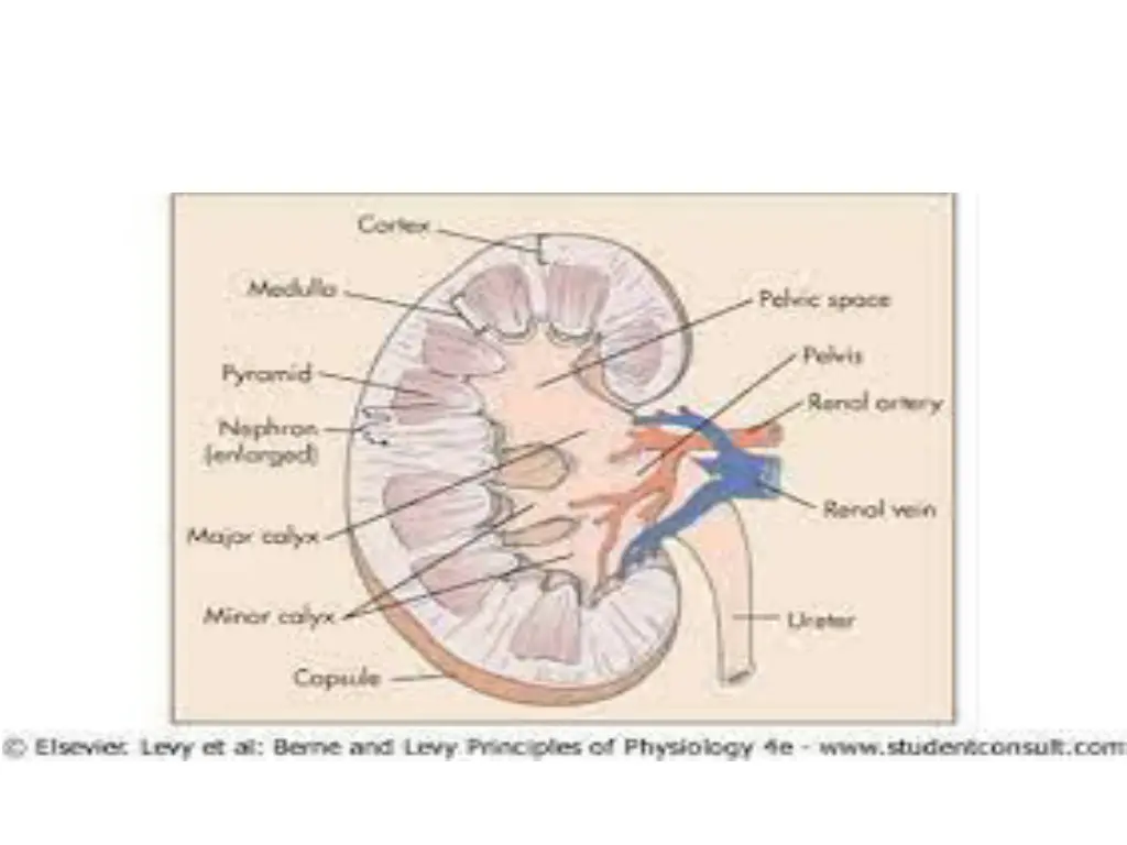 slide3