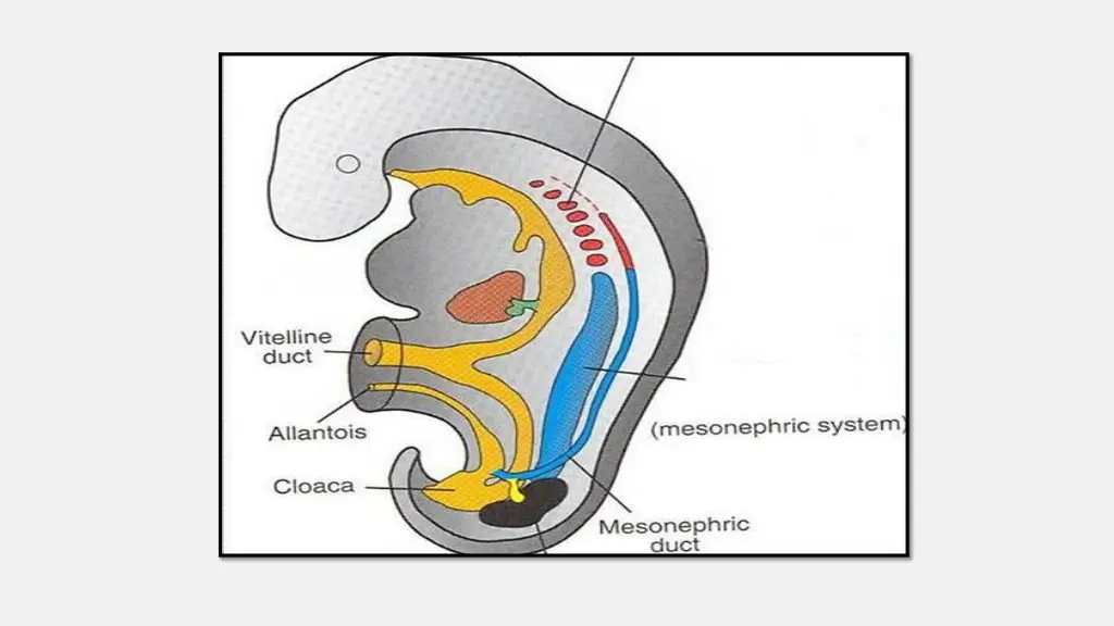 slide4