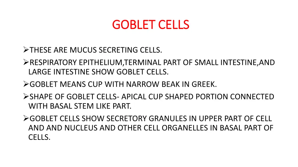 goblet cells goblet cells