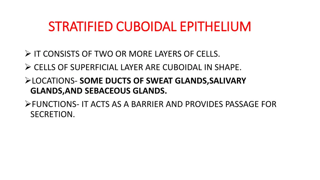 stratified cuboidal epithelium stratified