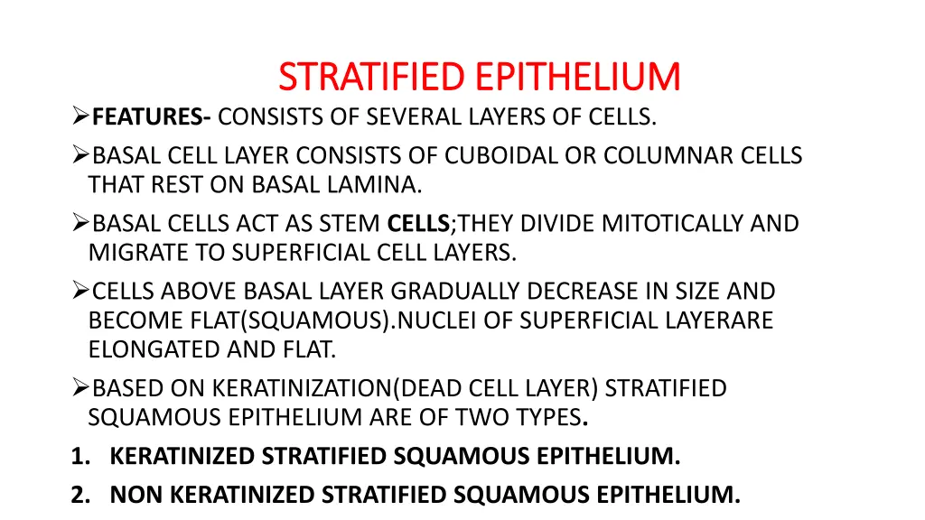 stratified epithelium stratified epithelium