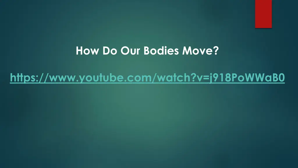 how do our bodies move