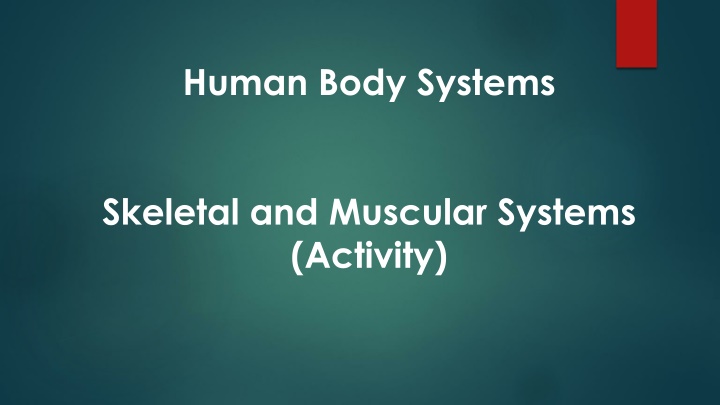 human body systems