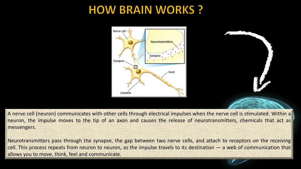 a nerve cell neuron communicates with other cells
