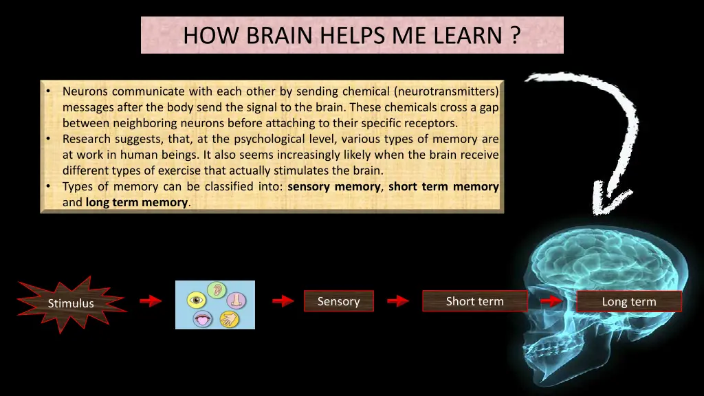 how brain helps me learn