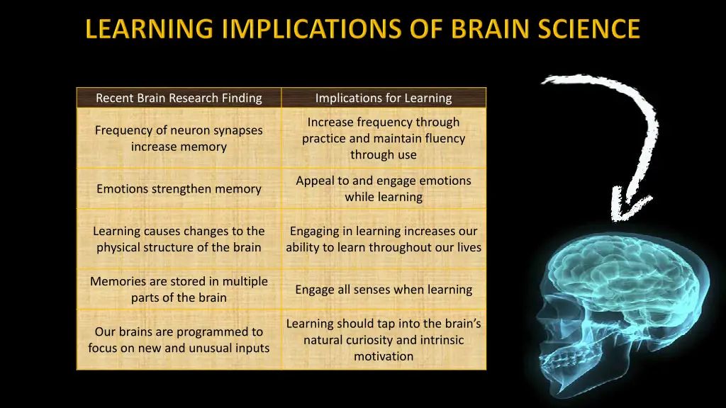 recent brain research finding