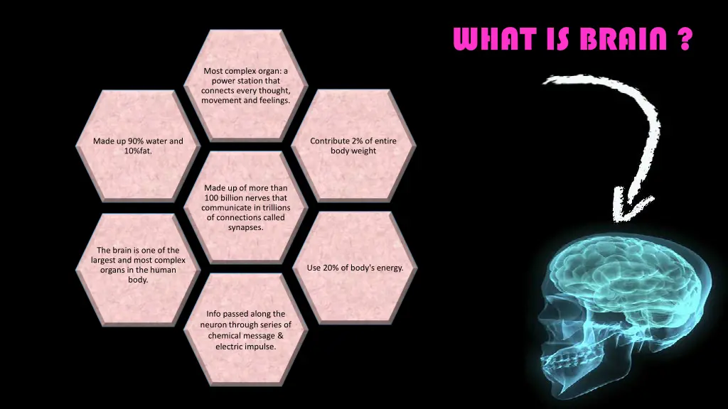 what is brain