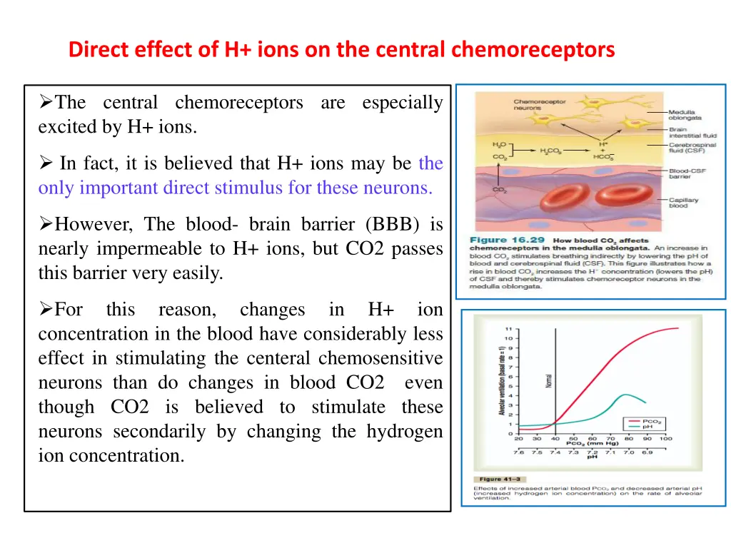 direct effect of h ions on the central