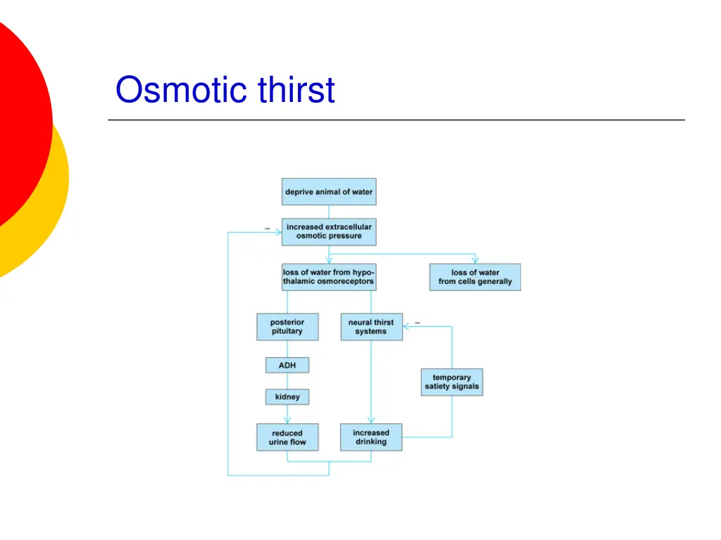 osmotic thirst 3