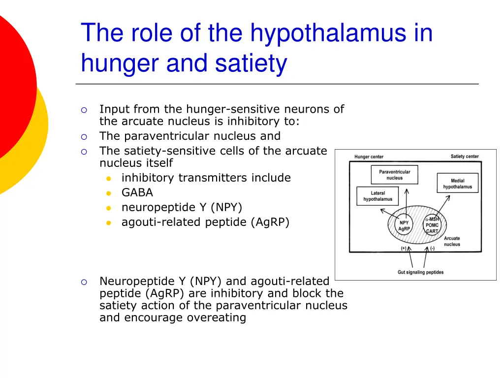 the role of the hypothalamus in hunger and satiety 2