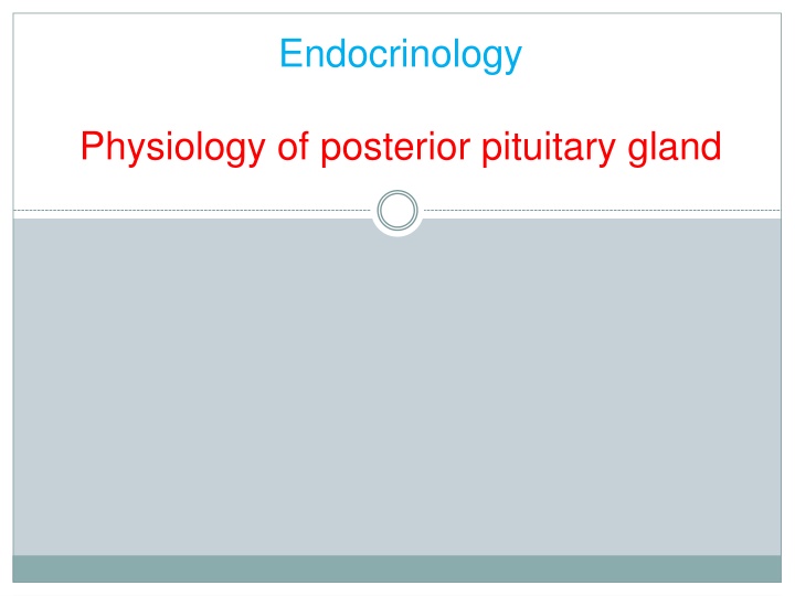endocrinology