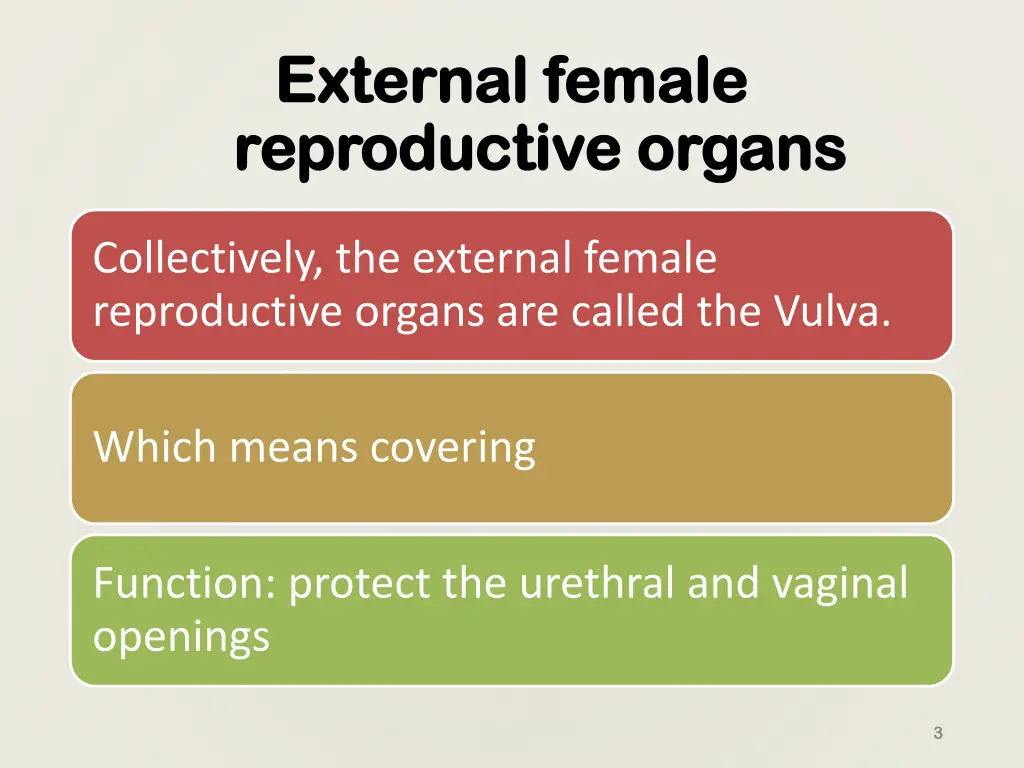 external female external female reproductive