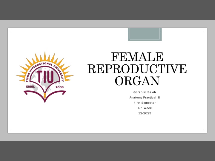 female reproductive organ