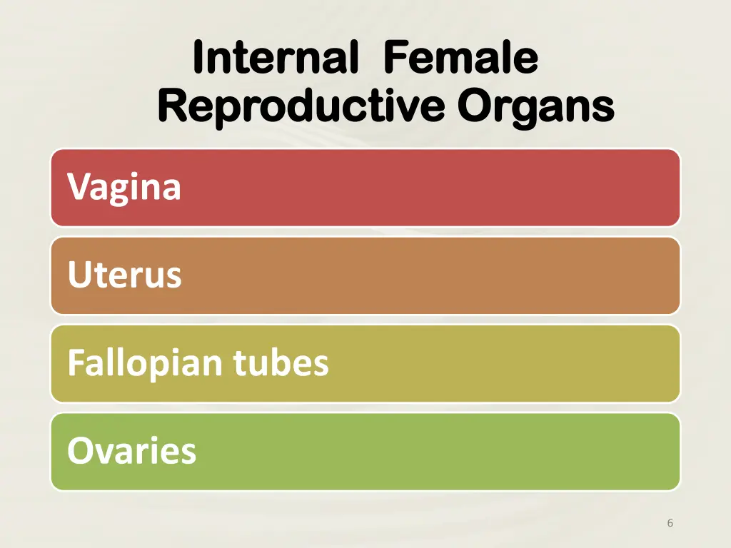 internal female internal female reproductive