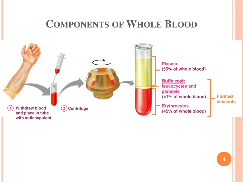 c omponents of w hole b lood