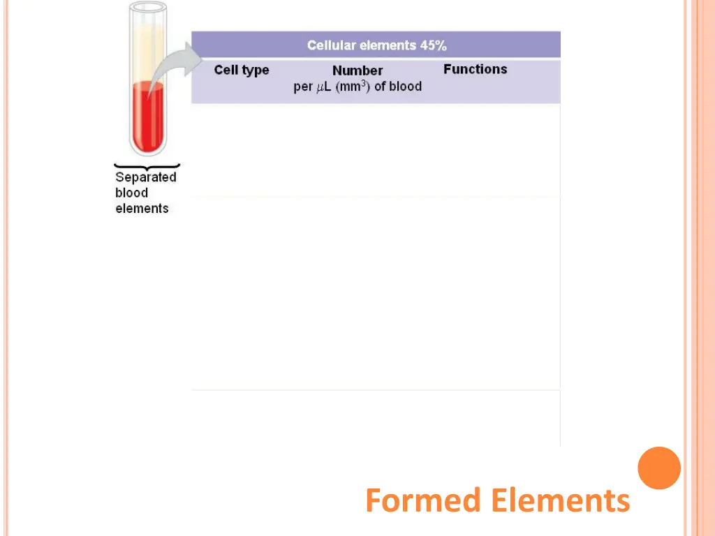 formed elements