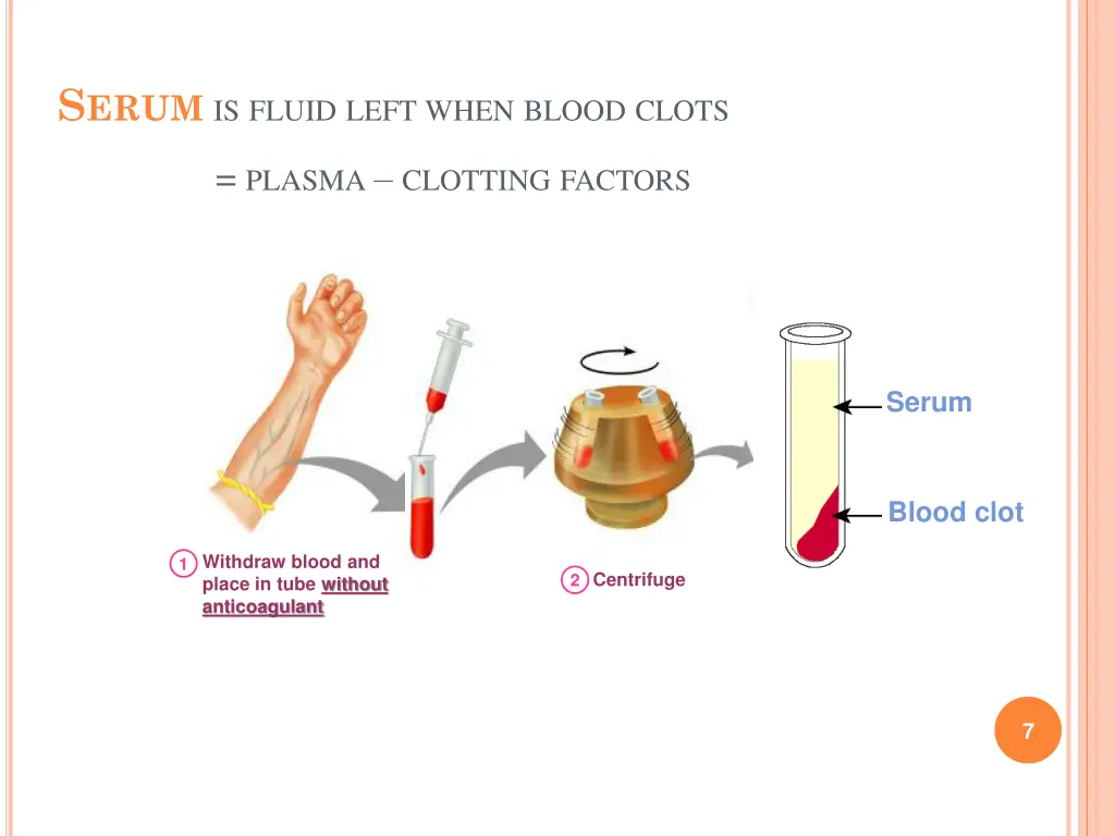 s erum is fluid left when blood clots