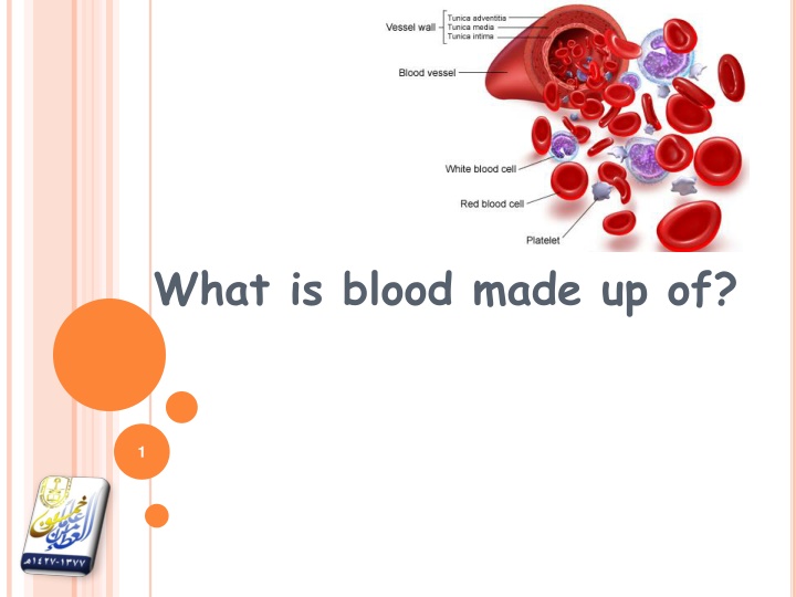 what is blood made up of