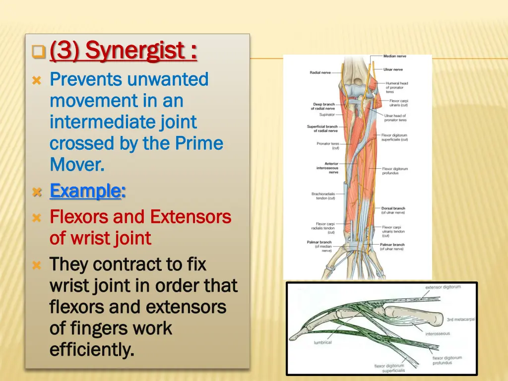 3 synergist 3 synergist prevents unwanted