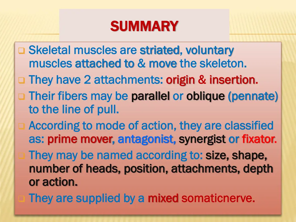 summary summary