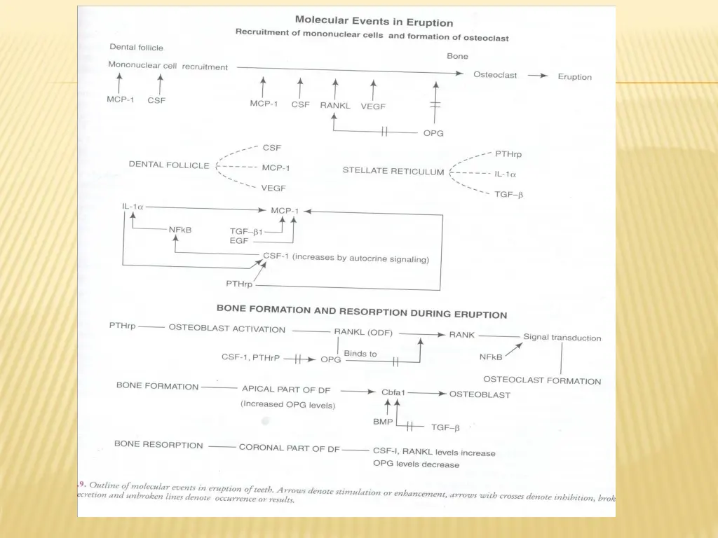 slide7