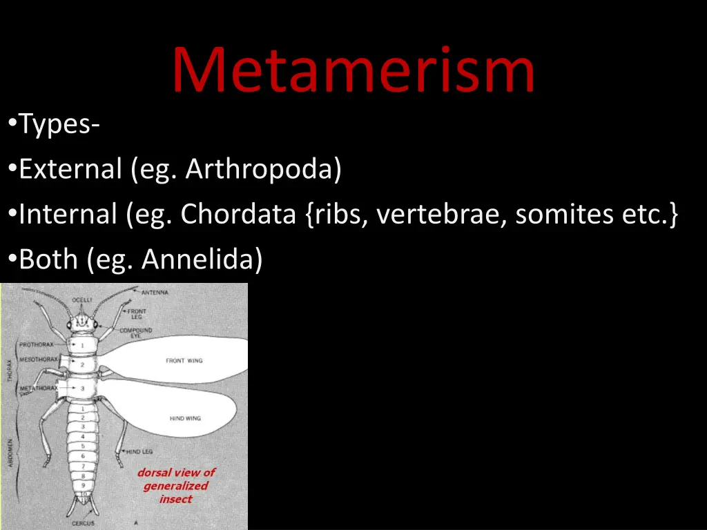 metamerism 1
