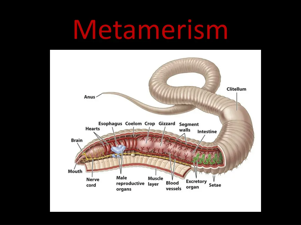 metamerism