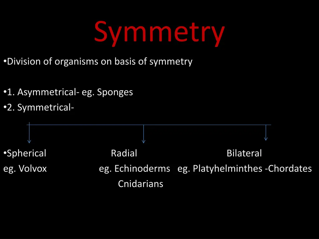 symmetry 1