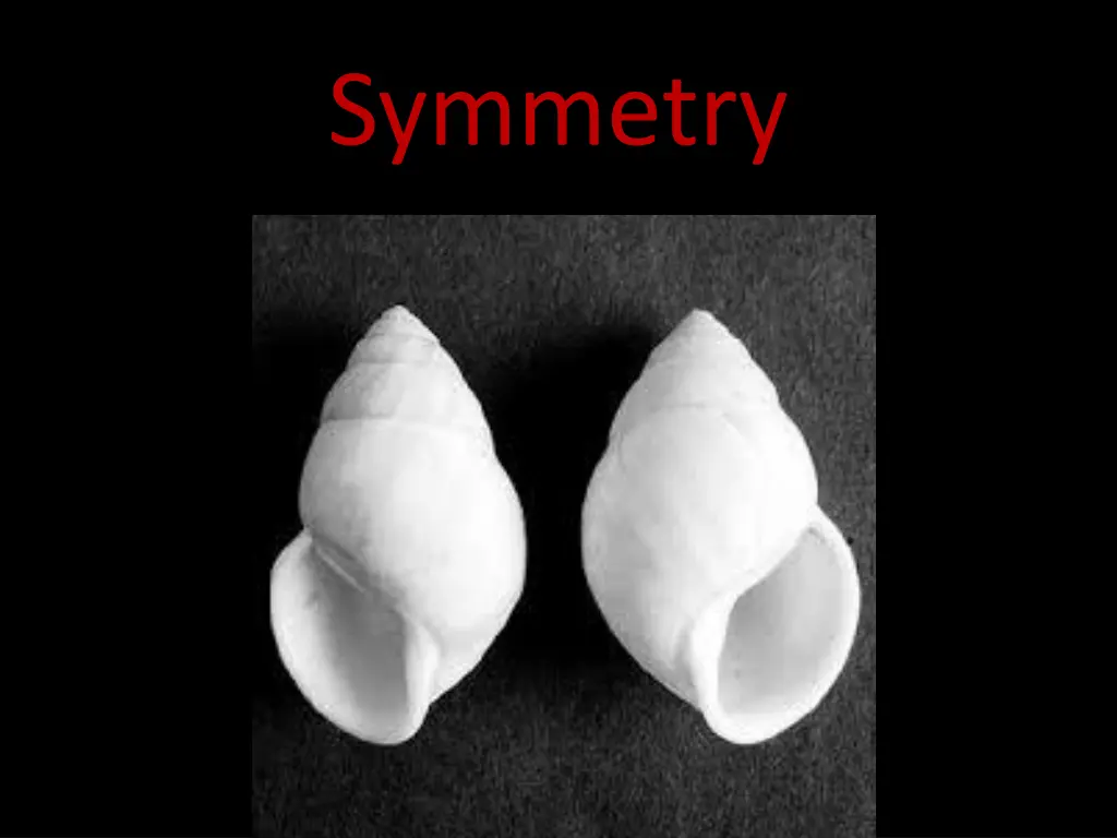 symmetry 3