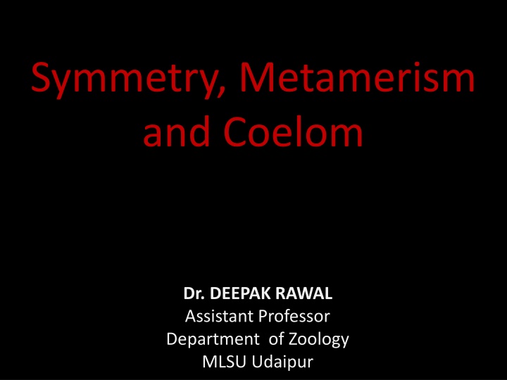symmetry metamerism and coelom