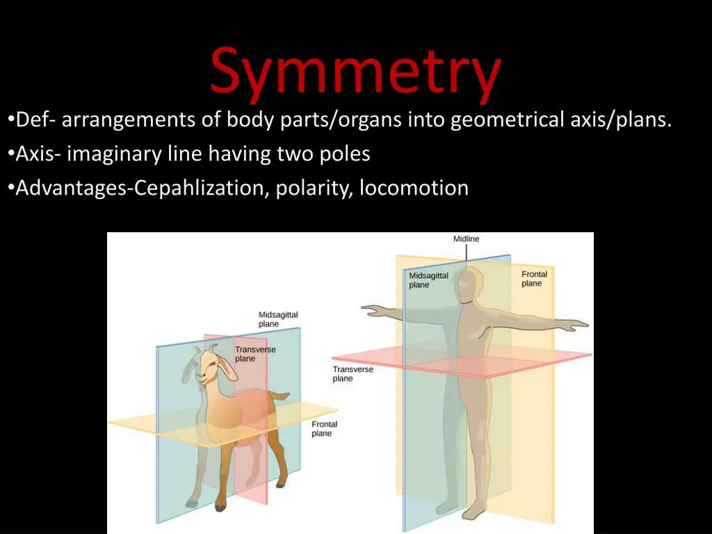 symmetry