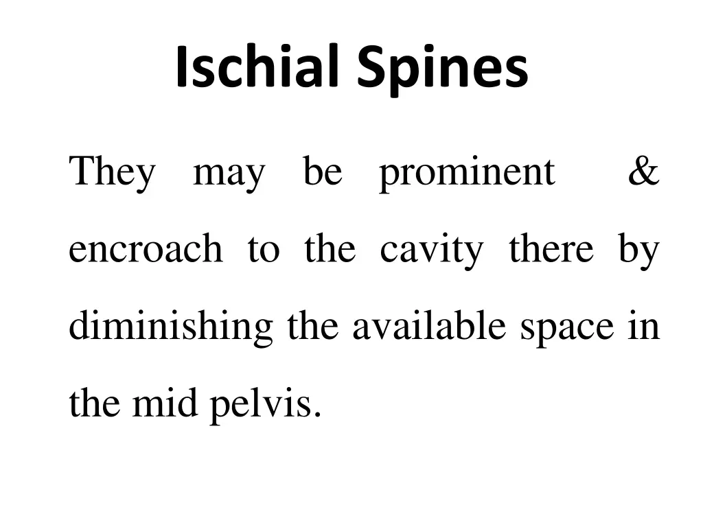 ischial spines