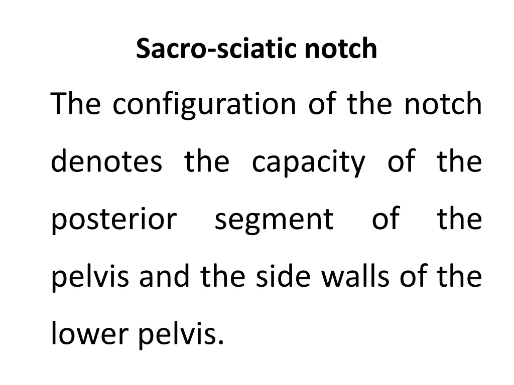 sacro sciatic notch