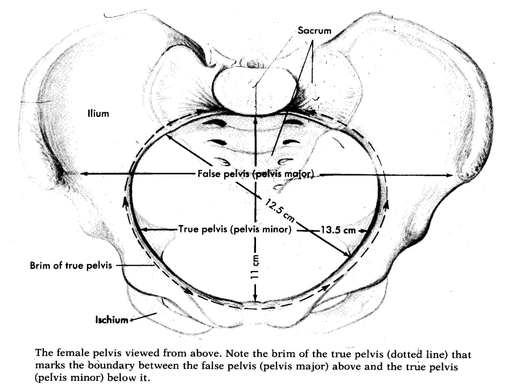 slide6
