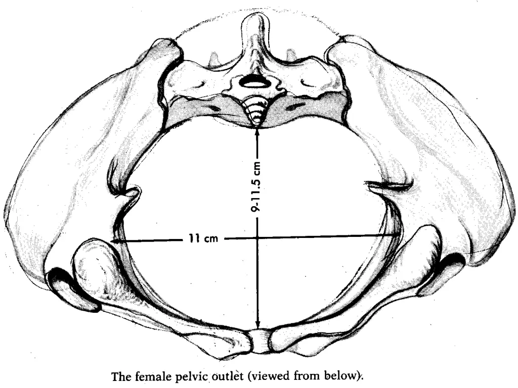 slide9