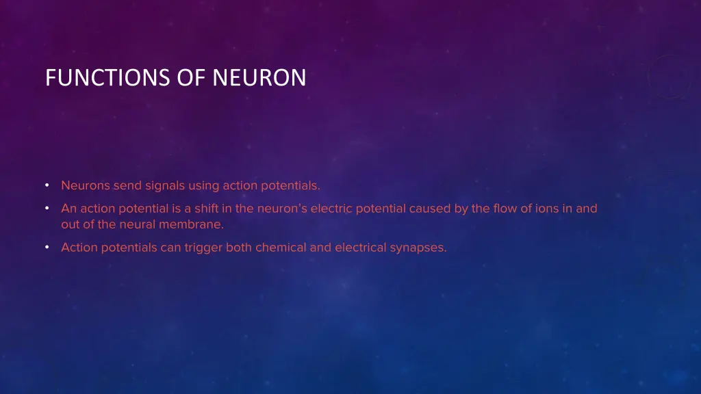 functions of neuron