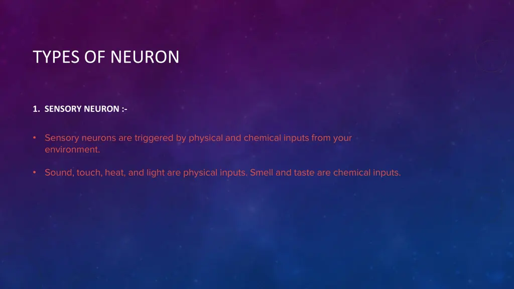 types of neuron