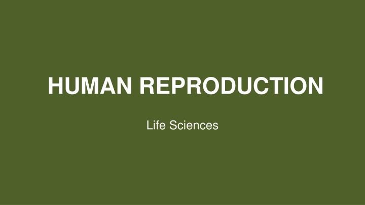 human reproduction