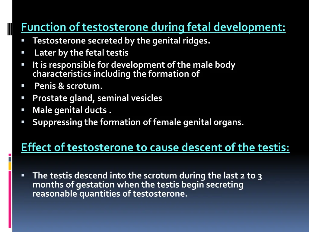function of testosterone during fetal development
