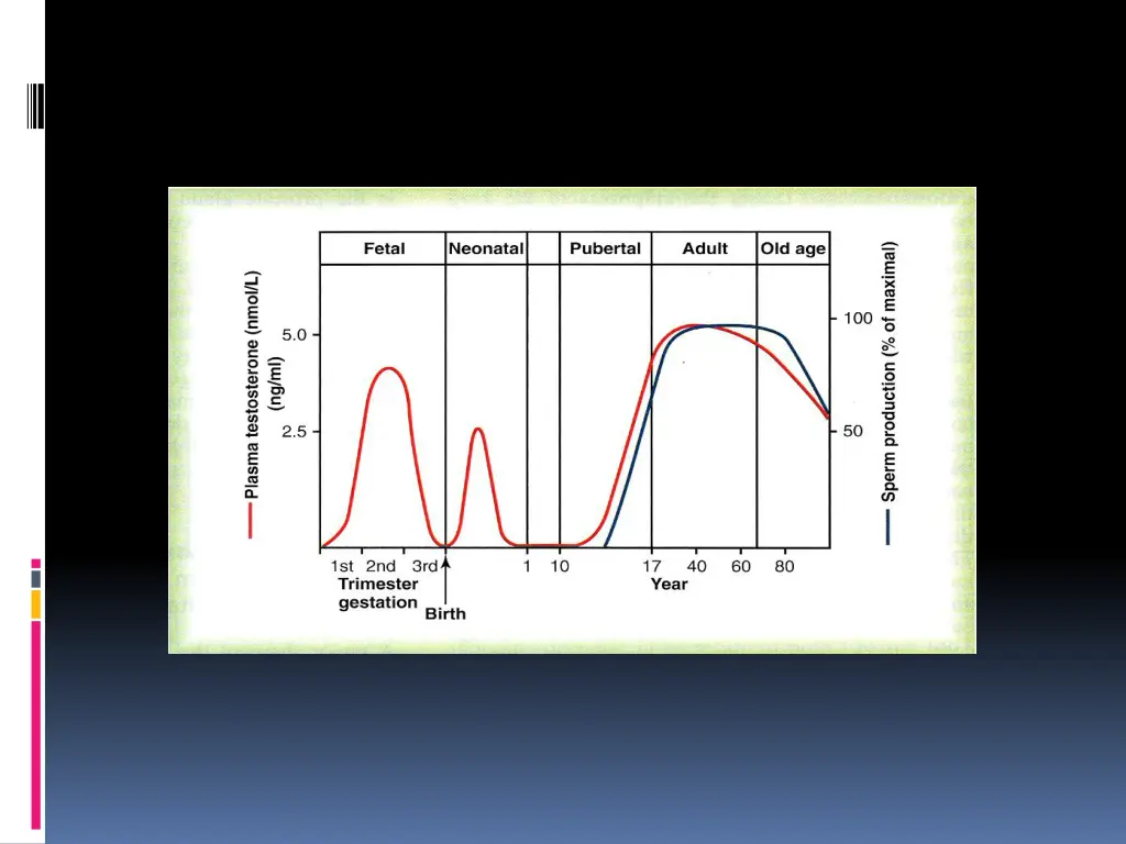slide19