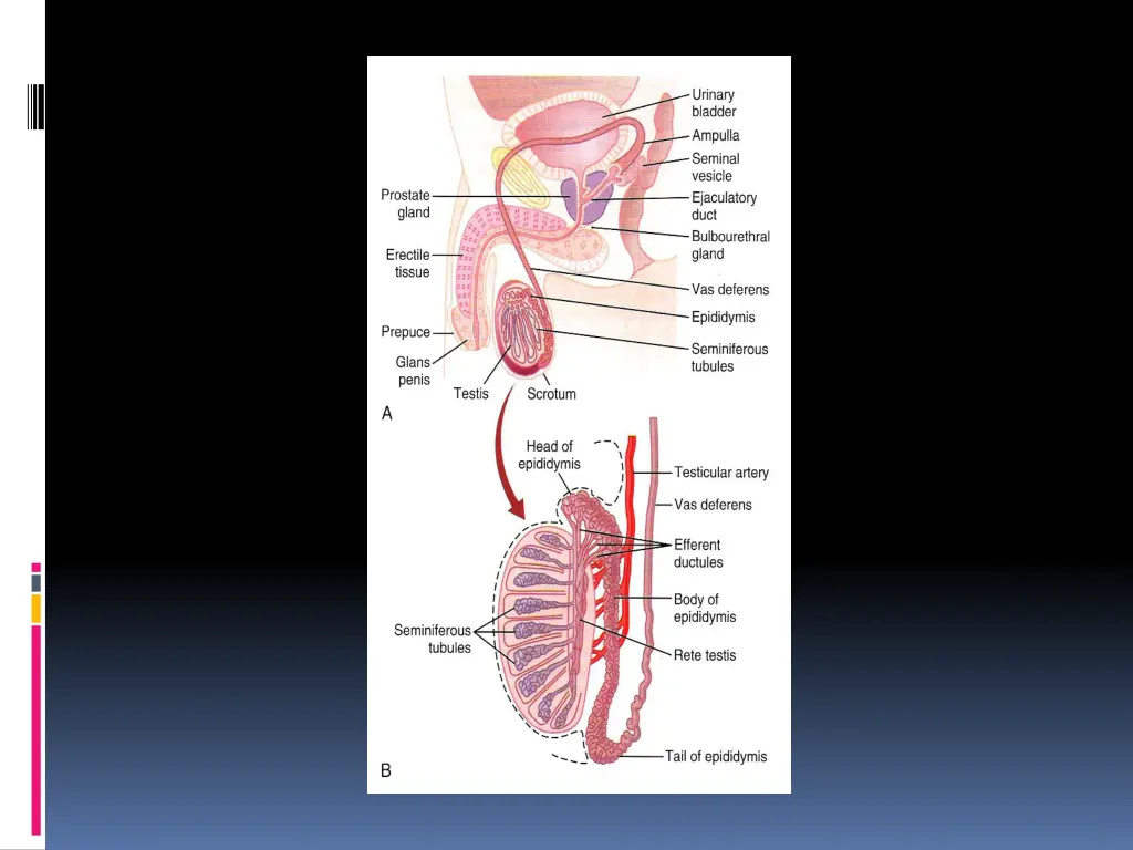 slide3
