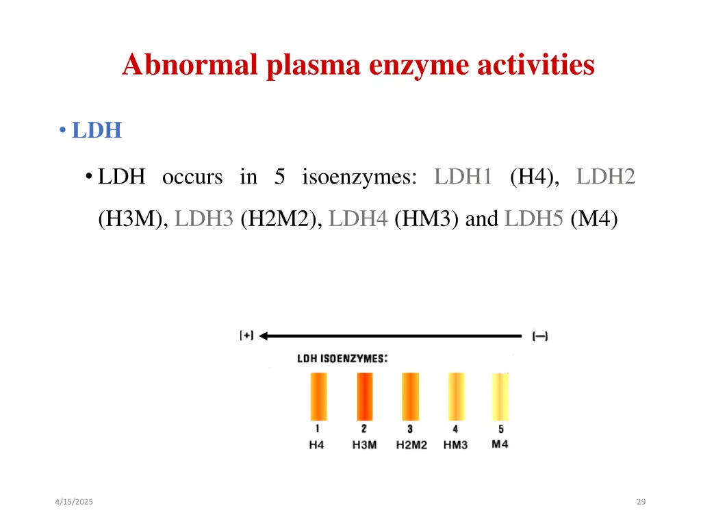 abnormal plasma enzyme activities 6