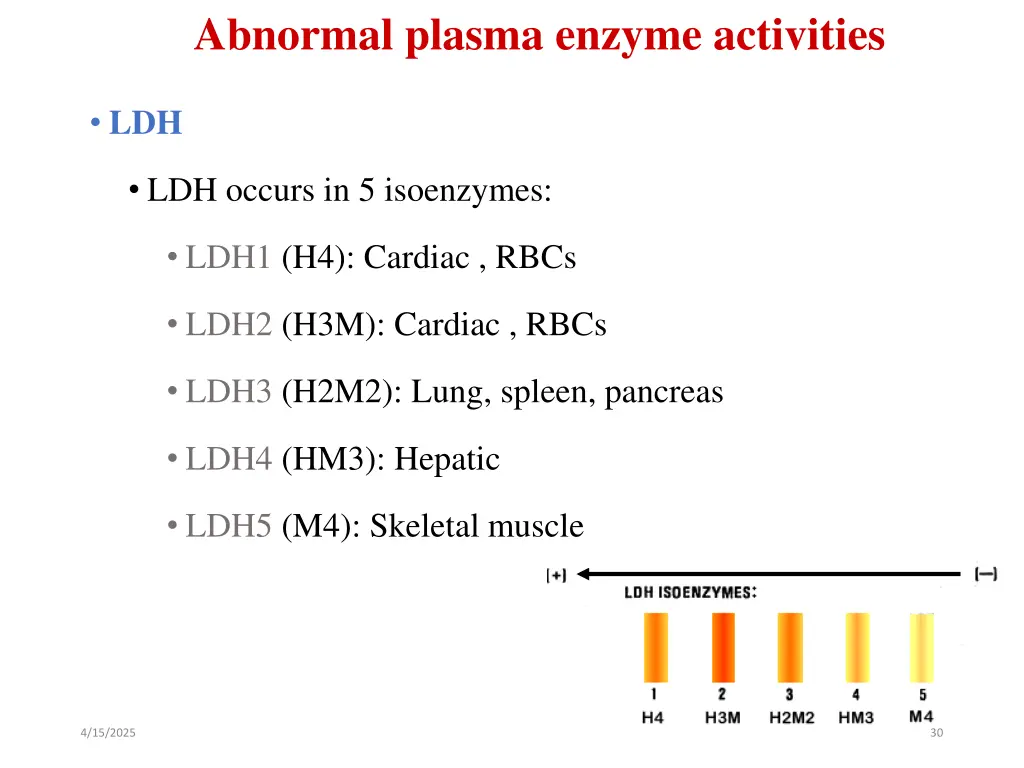 abnormal plasma enzyme activities 7
