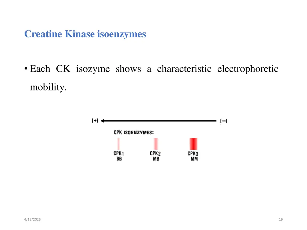 creatine kinase isoenzymes