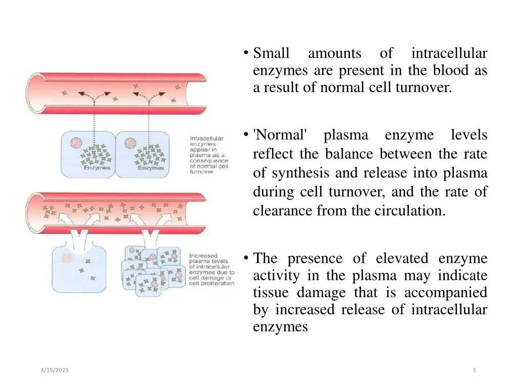 small enzymes are present in the blood