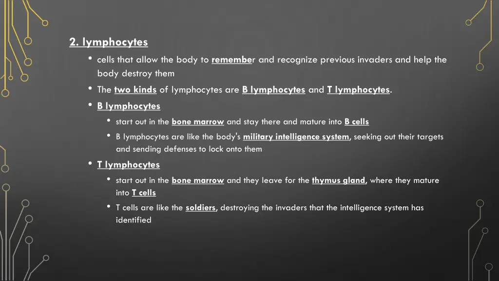 2 lymphocytes cells that allow the body