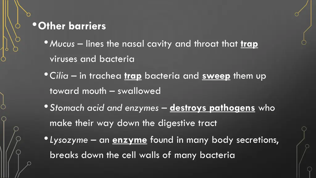 other barriers mucus lines the nasal cavity