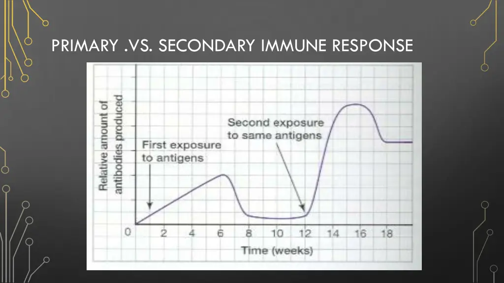 primary vs secondary immune response 1